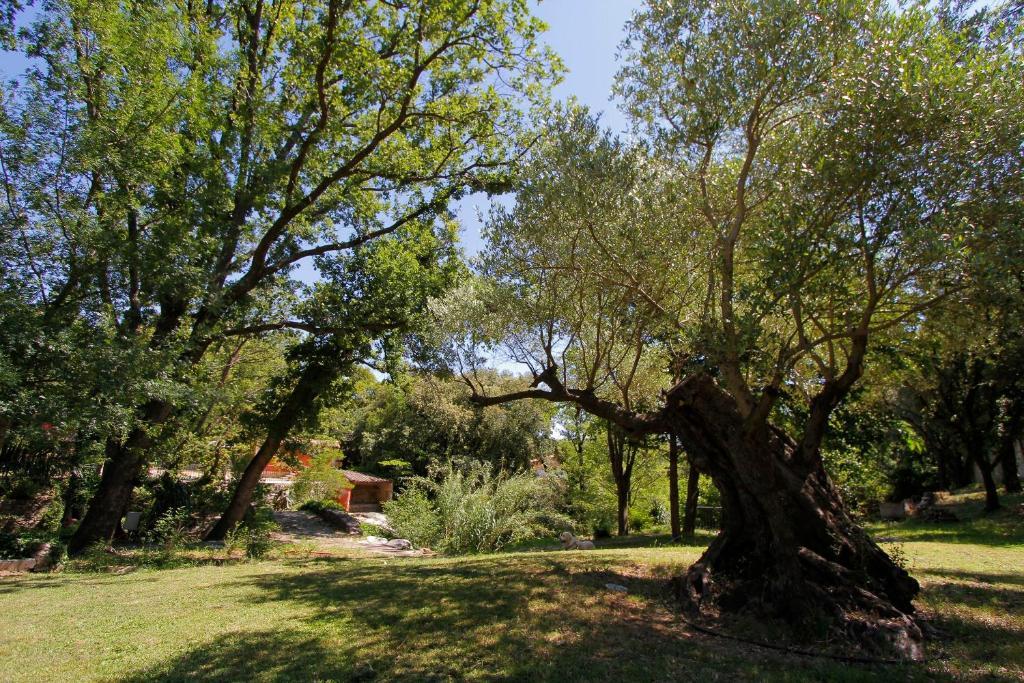 Villa Ponte Romano Le Plan-de-la-Tour Dış mekan fotoğraf