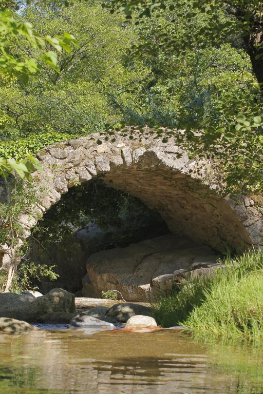 Villa Ponte Romano Le Plan-de-la-Tour Dış mekan fotoğraf